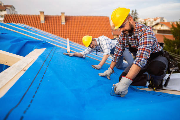 Best Roof Installation Near Me  in Franklin Park, NJ