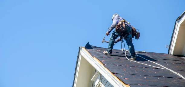 Best Roof Maintenance Services  in Franklin Park, NJ